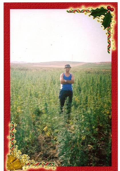 bahij
